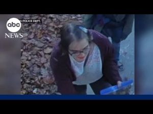 Read more about the article ‘Slender Man’ stabbing assailant Morgan Geyser flees group home: Police