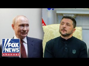 Read more about the article Ukraine-Russia peace plan ‘not the foundation of a long lasting peace’: Major General Dana Pittard