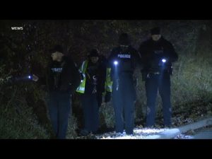 Read more about the article 911 calls released in Airbnb house party shooting