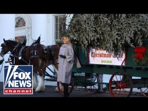 Read more about the article WATCH LIVE: First lady Melania Trump welcomes White House Christmas Tree