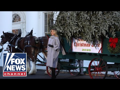 Read more about the article WATCH LIVE: First lady Melania Trump welcomes White House Christmas Tree