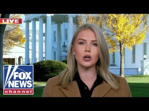 Read more about the article Karoline Leavitt puts Dems on BLAST