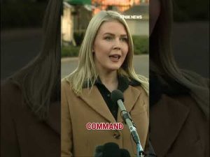 Read more about the article ‘SHOULD BE HELD ACCOUNTABLE’: Leavitt on video calling for service members to ‘refuse orders’