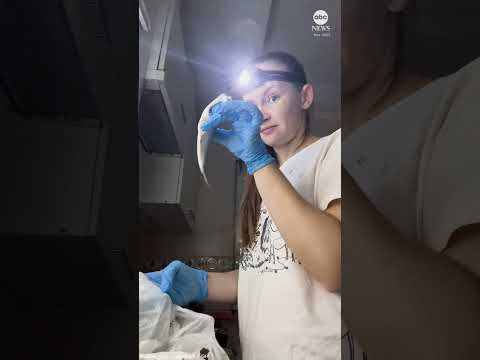 Read more about the article Amid war, Ukraine’s civilians live everyday life with blackouts