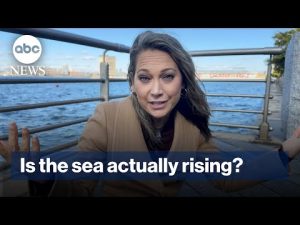 Read more about the article Was science wrong about sea level rise?