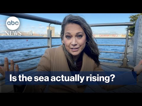 Read more about the article Was science wrong about sea level rise?