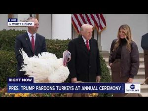 Read more about the article Trump pardons turkeys at annual turkey pardoning at White House