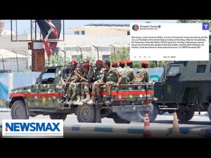 Read more about the article Somalis in Minnesota defrauded taxpayers for Al-Shabab: Bob Brooks | American Agenda