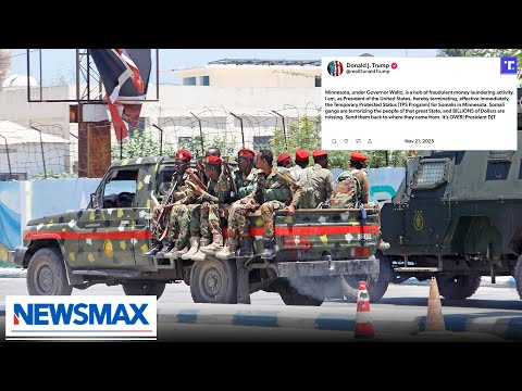 Read more about the article Somalis in Minnesota defrauded taxpayers for Al-Shabab: Bob Brooks | American Agenda