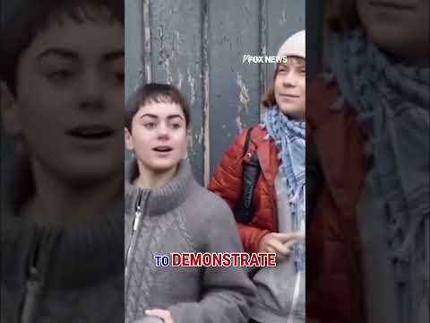 Read more about the article Greta Thunberg fined for ‘DISRESPECTFUL ACT’ in Venice #shorts #us #news #foxnews #gretathunberg