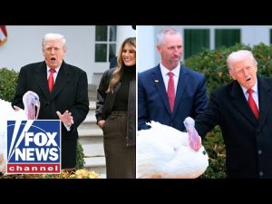 Read more about the article SEE IT: Trump saves massive turkeys while touting cheaper Thanksgiving prices