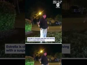 Read more about the article Police deliver DoorDash customer’s food after DUI arrest