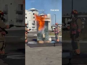 Read more about the article DON’T TRY THIS AT HOME: A frozen turkey erupts in a deep-fryer #shorts #foxnews #us