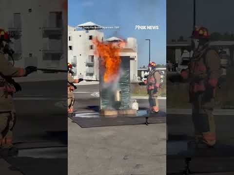 Read more about the article DON’T TRY THIS AT HOME: A frozen turkey erupts in a deep-fryer #shorts #foxnews #us