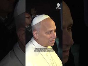 Read more about the article Pope Leo encourages Americans to focus on gratitude this Thanksgiving