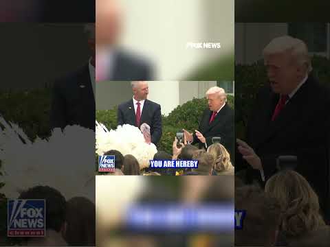 Read more about the article TURKEY SAVING TRUMP: President officially pardons turkeys ahead of Thanksgiving #trump #shorts