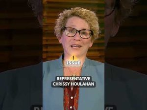 Read more about the article Democrats Pollster SHAMES Treasonous Dems For Videos Calling For Rebellion Against Trump