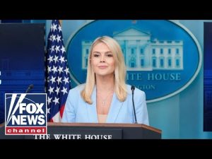 Read more about the article Karoline Leavitt slams Dems over air travel chaos amid shutdown