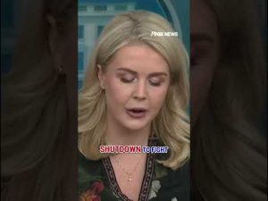 Read more about the article Leavitt: This is a TOTAL DISGRACE! #shorts #trump #politics #usnews