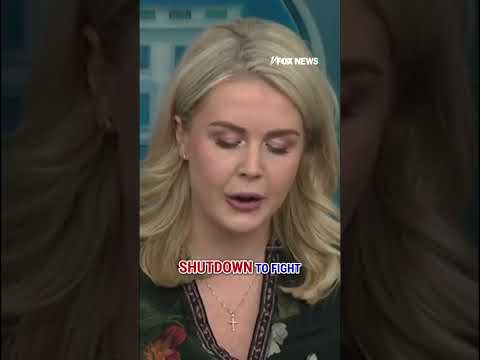 You are currently viewing Leavitt: This is a TOTAL DISGRACE! #shorts #trump #politics #usnews