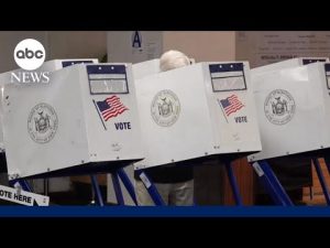 Read more about the article Democrats are back and coming for Trump: DNC chair