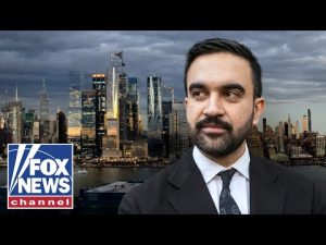 Read more about the article ‘POSTER CHILD’: Mamdani could ‘redefine’ the Dem Party