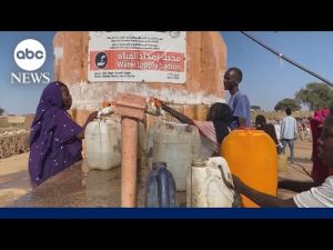 Read more about the article 36,000 flee El-Fasher amid escalating violence