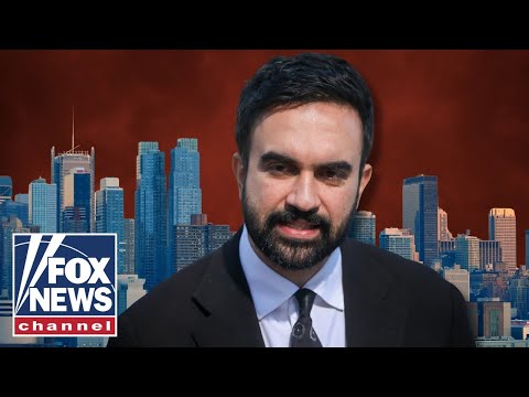 Read more about the article More than 80% of female youth vote went to Mamdani: Fox News Voter Poll