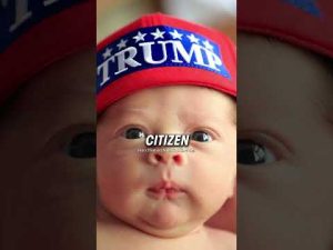 Read more about the article Trump Ready To Make Your Babies Rich