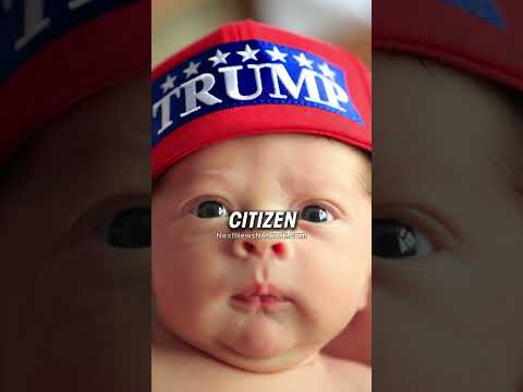 You are currently viewing Trump Ready To Make Your Babies Rich