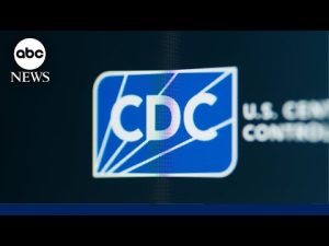 Read more about the article CDC Advisory Panel delays vote on whether newborns should receive Hepatitis B vaccine