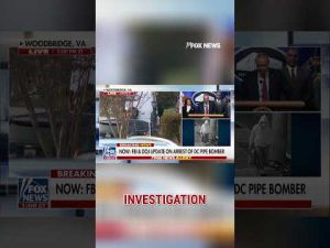 Read more about the article Watch: Bongino on the moment he knew they were solving the case #shorts #foxnews #news #us