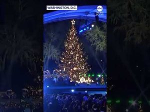 Read more about the article President Trump and Melania Trump attend National Christmas tree lighting ceremony