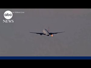 Read more about the article Seattle-bound Delta flight makes emergency landing after bird strike during takeoff