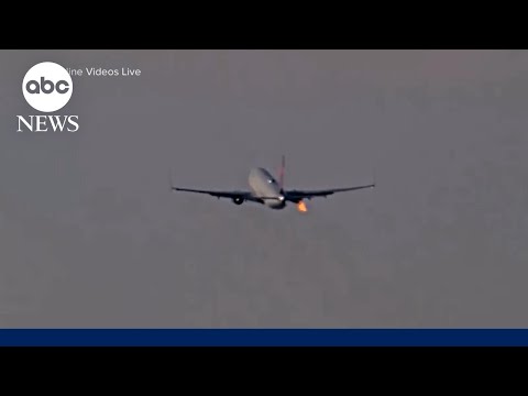 You are currently viewing Seattle-bound Delta flight makes emergency landing after bird strike during takeoff