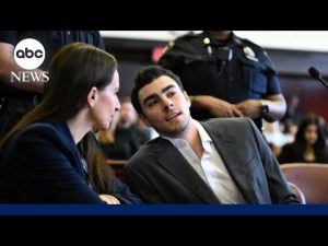 Read more about the article 911 call leading to Luigi Mangione’s arrest released year after CEO’s killing