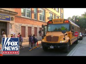 Read more about the article ‘We cannot rely on the Department of Education’: Chris Rufo on the rise of homeschooling