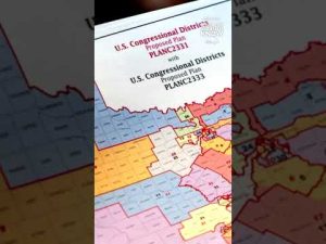 Read more about the article Supreme Court allows Texas to move forward with redrawn congressional map