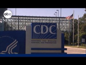 Read more about the article CDC vaccine panel votes to remove universal hepatitis B birth dose recommendation