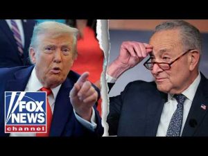 Read more about the article Schumer LASHES OUT at Trump: ‘In an EFFING BUBBLE!’