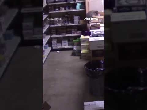 You are currently viewing PARTY ANIMAL: Newly released video shows the raccoon that broke into a closed liquor store #shorts