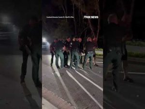 Read more about the article LATER GATOR: A 14-foot, 600-pound alligator brought traffic to a halt in Florida