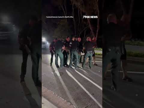 You are currently viewing LATER GATOR: A 14-foot, 600-pound alligator brought traffic to a halt in Florida