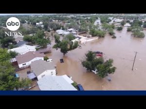 Read more about the article Harrowing 911 calls from Texas flooding on 4th of July released