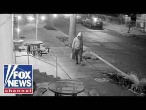 Read more about the article Retired FBI agent dishes on Jan 6 pipe bomb case: ‘Treasure trove’ of evidence