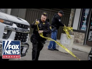 Read more about the article ‘ANIMALS’: Sheriffs vow to catch shooter after killing 4, including 3 children