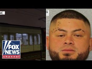 Read more about the article JUST IN: Alleged illegal migrant charged in Charlotte train stabbing