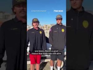 Read more about the article DOGGONE LUCKY: California lifeguards rescue dog from rip currents #shorts #usa #us #dog #dogs