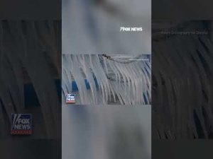 Read more about the article Icicles show off their winter sparkle