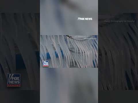 You are currently viewing Icicles show off their winter sparkle